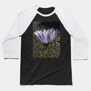 Lighting Up the African Daisy Baseball T-Shirt